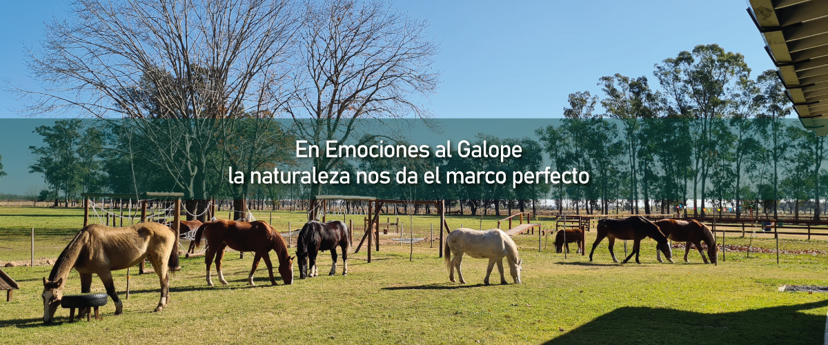Posicion-2